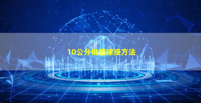 10公分枇杷嫁接方法