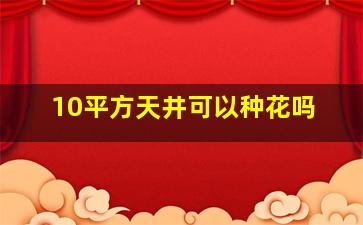 10平方天井可以种花吗