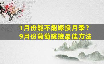 1月份能不能嫁接月季？9月份葡萄嫁接最佳方法