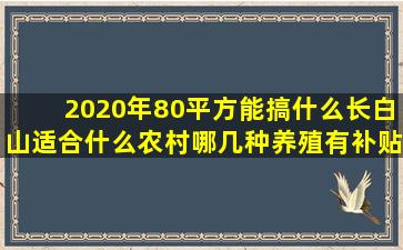 2020年80平方能搞什么长白山适合什么农村哪几种养殖有补贴(吉林省2020年社平)