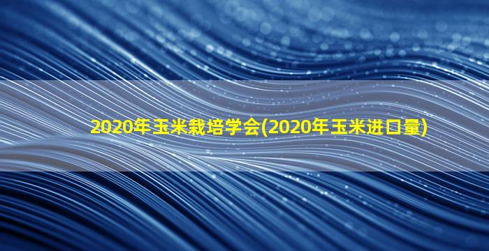 2020年玉米栽培学会(2020年玉米进口量)