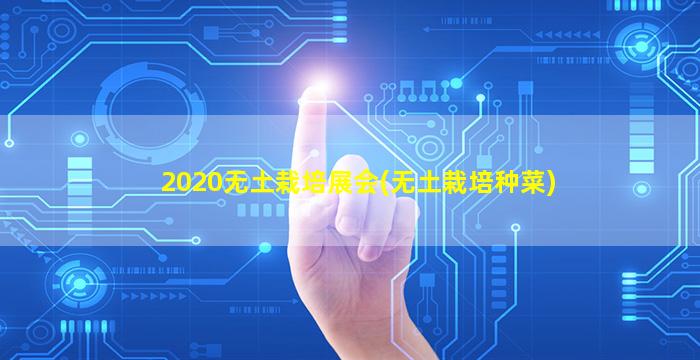 2020无土栽培展会(无土栽培种菜)