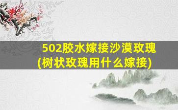 502胶水嫁接沙漠玫瑰(树状玫瑰用什么嫁接)