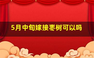 5月中旬嫁接枣树可以吗