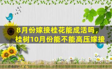 8月份嫁接桂花能成活吗，桂树10月份能不能高压嫁接