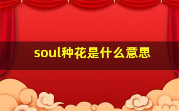 soul种花是什么意思