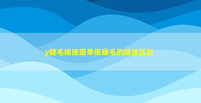 y睫毛嫁接跟单根睫毛的嫁接区别