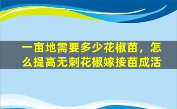 一亩地需要多少花椒苗，怎么提高无刺花椒嫁接苗成活