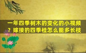 一年四季树木的变化的小视频？嫁接的四季桂怎么能多长枝