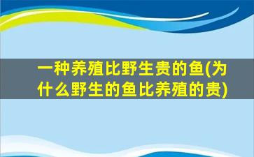 一种养殖比野生贵的鱼(为什么野生的鱼比养殖的贵)