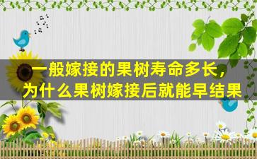 一般嫁接的果树寿命多长，为什么果树嫁接后就能早结果