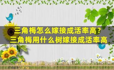 三角梅怎么嫁接成活率高？三角梅用什么树嫁接成活率高