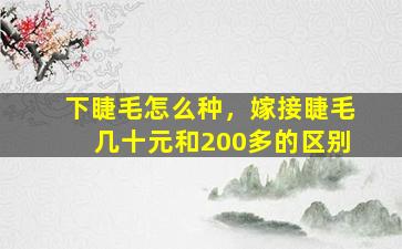 下睫毛怎么种，嫁接睫毛几十元和200多的区别