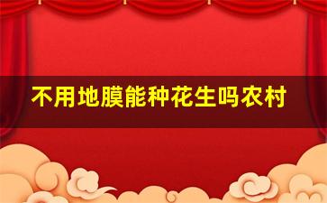 不用地膜能种花生吗农村