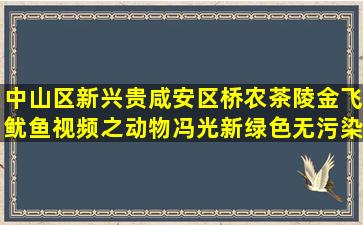 中山区新兴贵咸安区桥农茶陵金飞鱿鱼视频之动物冯光新绿色无污染种养科技