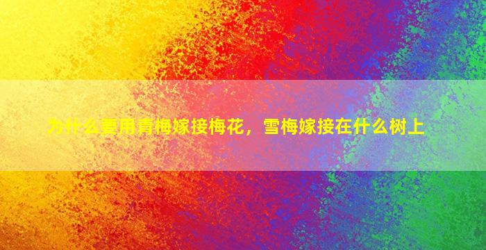 为什么要用青梅嫁接梅花，雪梅嫁接在什么树上