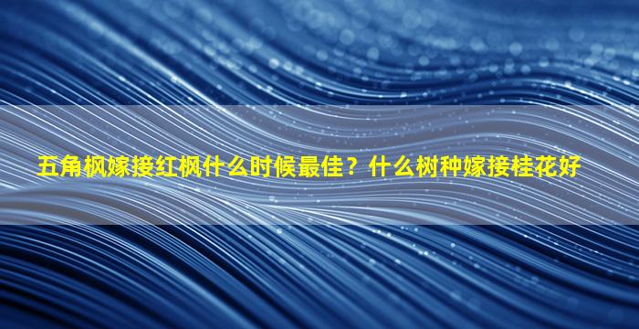 五角枫嫁接红枫什么时候最佳？什么树种嫁接桂花好