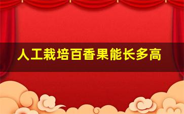 人工栽培百香果能长多高