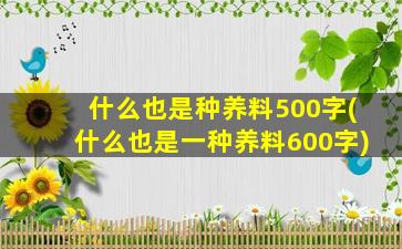 什么也是种养料500字(什么也是一种养料600字)