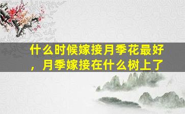 什么时候嫁接月季花最好，月季嫁接在什么树上了