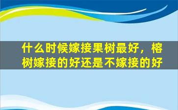 什么时候嫁接果树最好，榕树嫁接的好还是不嫁接的好