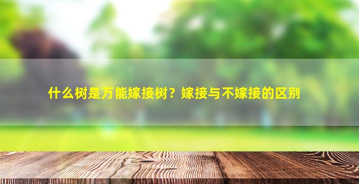 什么树是万能嫁接树？嫁接与不嫁接的区别