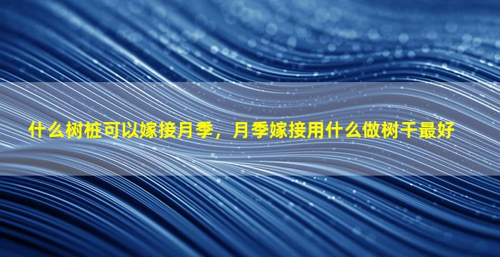 什么树桩可以嫁接月季，月季嫁接用什么做树干最好