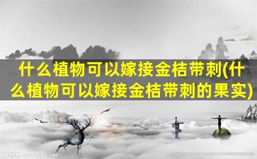 什么植物可以嫁接金桔带刺(什么植物可以嫁接金桔带刺的果实)