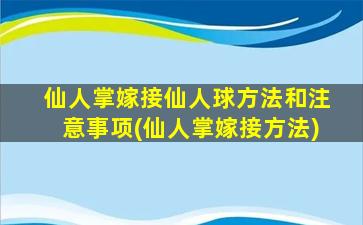 仙人掌嫁接仙人球方法和注意事项(仙人掌嫁接方法)