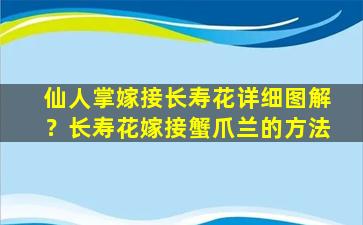 仙人掌嫁接长寿花详细图解？长寿花嫁接蟹爪兰的方法