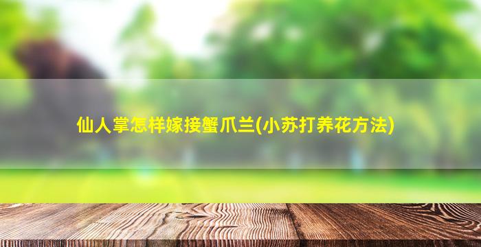 仙人掌怎样嫁接蟹爪兰(小苏打养花方法)