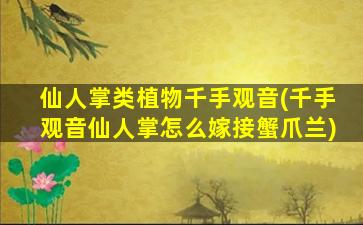 仙人掌类植物千手观音(千手观音仙人掌怎么嫁接蟹爪兰)