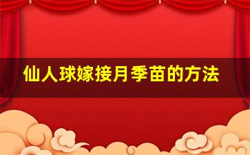 仙人球嫁接月季苗的方法