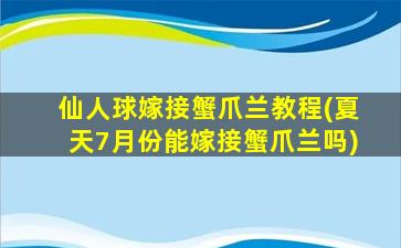 仙人球嫁接蟹爪兰教程(夏天7月份能嫁接蟹爪兰吗)