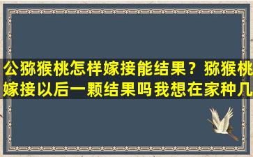 公猕猴桃怎样嫁接能结果？猕猴桃嫁接以后一颗结果吗我想在家种几棵