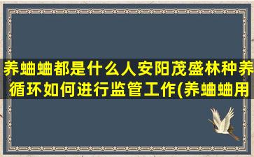 养蛐蛐都是什么人安阳茂盛林种养循环如何进行监管工作(养蛐蛐用什么罐子)