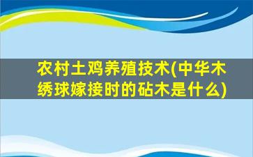 农村土鸡养殖技术(中华木绣球嫁接时的砧木是什么)