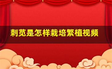 刺苋是怎样栽培繁植视频