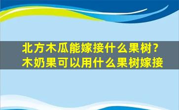 北方木瓜能嫁接什么果树？木奶果可以用什么果树嫁接