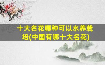 十大名花哪种可以水养栽培(中国有哪十大名花)