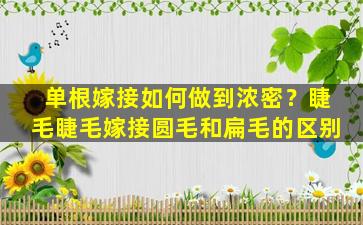 单根嫁接如何做到浓密？睫毛睫毛嫁接圆毛和扁毛的区别