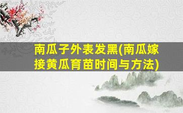 南瓜子外表发黑(南瓜嫁接黄瓜育苗时间与方法)