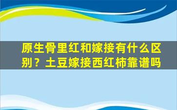 原生骨里红和嫁接有什么区别？土豆嫁接西红柿靠谱吗