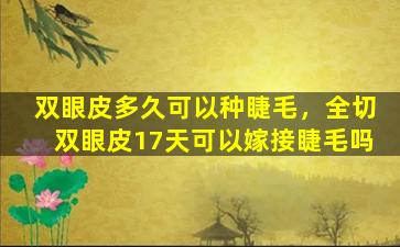 双眼皮多久可以种睫毛，全切双眼皮17天可以嫁接睫毛吗