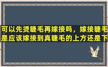 可以先烫睫毛再嫁接吗，嫁接睫毛是应该嫁接到真睫毛的上方还是下方