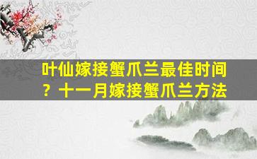 叶仙嫁接蟹爪兰最佳时间？十一月嫁接蟹爪兰方法