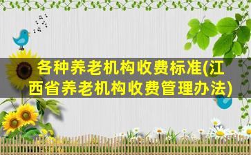 各种养老机构收费标准(江西省养老机构收费管理办法)