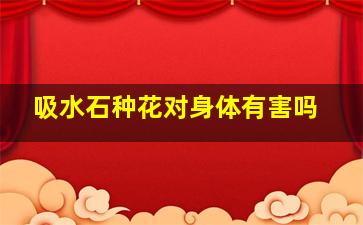 吸水石种花对身体有害吗