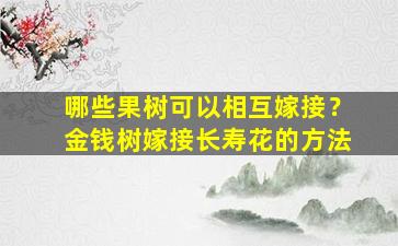 哪些果树可以相互嫁接？金钱树嫁接长寿花的方法