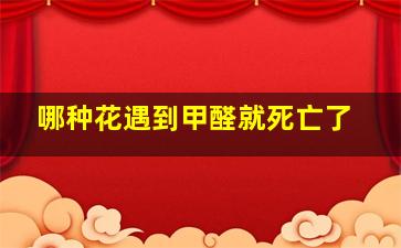 哪种花遇到甲醛就死亡了